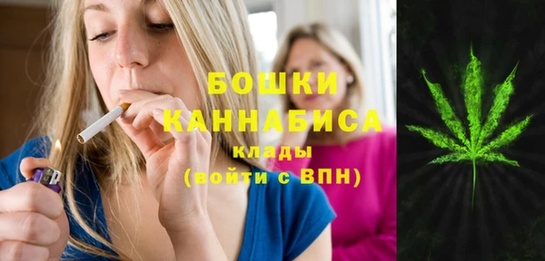 каннабис Аркадак