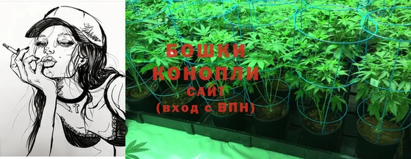 молекула духа Армянск
