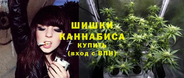спиды Костерёво